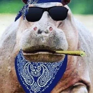 Meet your Posher, Mason